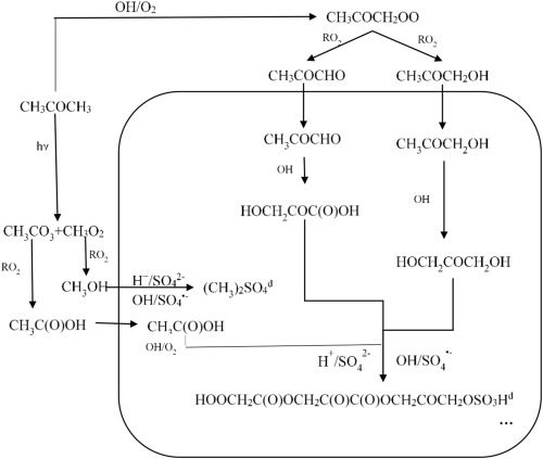 Proposed mechanism for the formation of organic sulfate in the aerosol phase.jpg