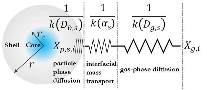 图1. 核-壳结构的单颗粒SOA的传质示意图