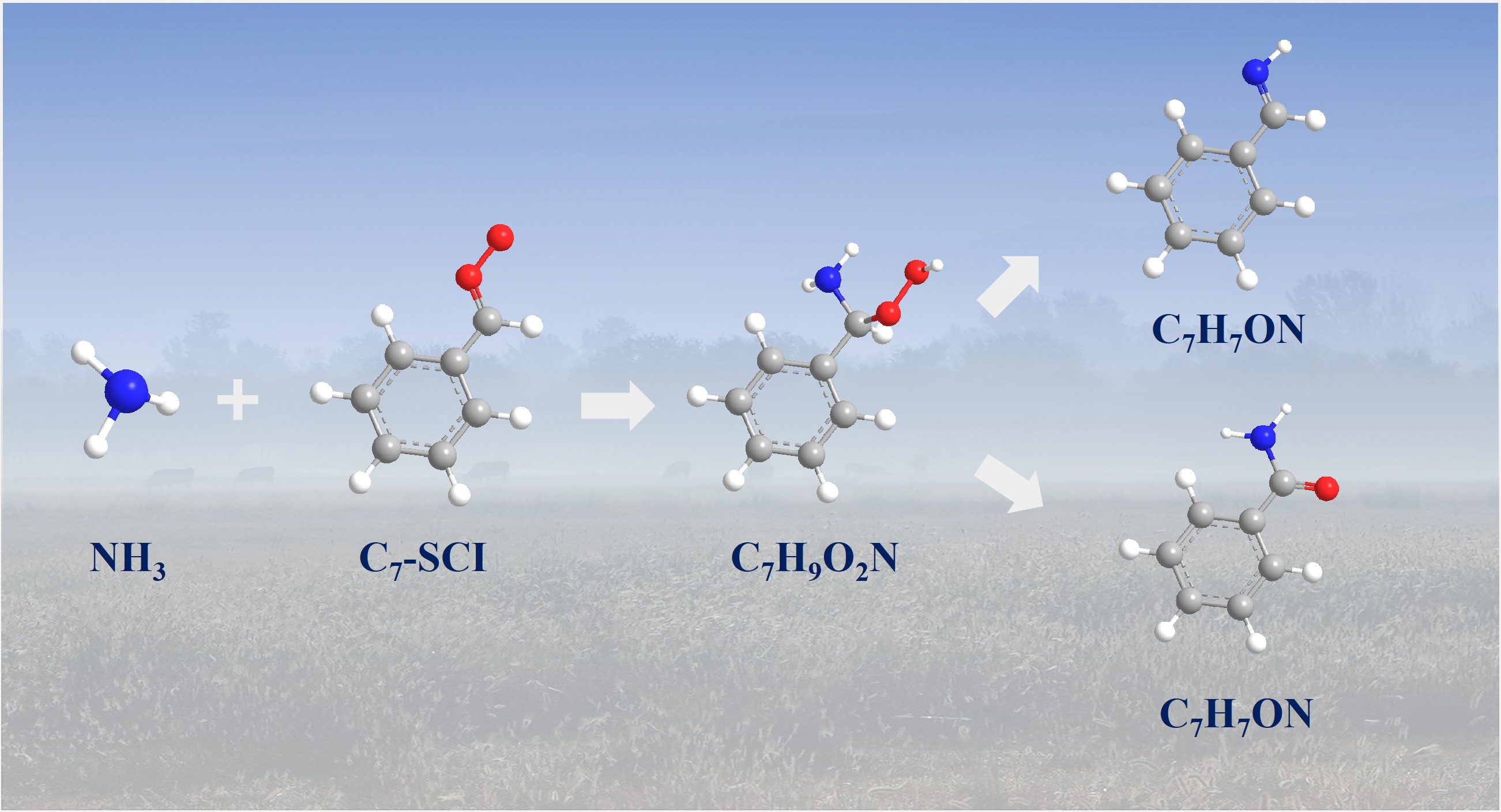 reaction between NH3 and Criegee intermediate